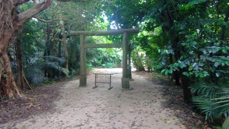 Verstecktes-Torii-Mitten-Im-Ländlichen-Nationalpark