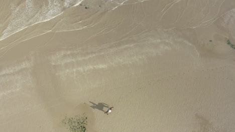 Aerial-top-down-view,-rider-and-horse,-ride-along-the-waters-edge-of-a-beach