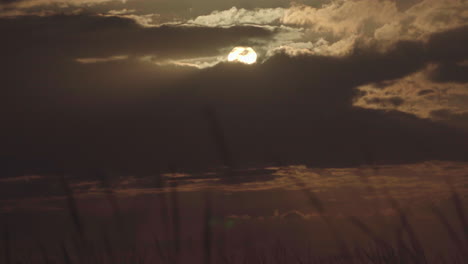 Dunkle-Sonnenuntergangslandschaft-Mit-Sägegras-Im-Vordergrund