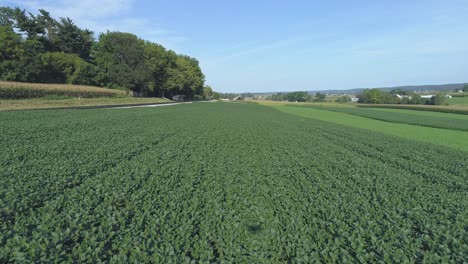 Luftaufnahme-Nahaufnahme-Von-Grünen-Landwirtschaftlichen-Ackerflächen-Neben-Einer-Eisenbahnstrecke-In-Der-Amish-Landschaft-An-Einem-Sonnigen-Sommertag