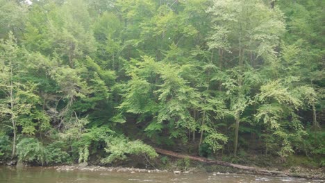 Wissahickon-Creek-Fluye-Sobre-Rocas,-Piedras,-árboles-En-El-Fondo