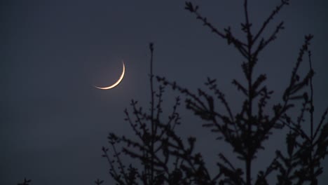 CRESCENT-SILVER-MOON-AT-NIGHT
