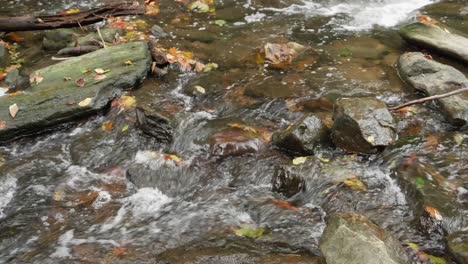 Wasserströme-über-Felsen-Und-Äste,-Wissahickon-Creek
