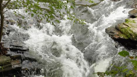 Wasserfall-Bei-überdachter-Brücke,-Thomas-Mill-Am-Wissahickon-Creek