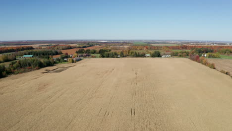 Wide-aerial-view-of-flat-agricultural-fields-filled-with-dry-brown-corn-stalks-ready-to-be-harvested
