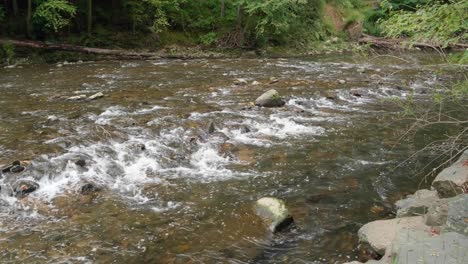 Wissahickon-Creek-Fließt-über-Felsen,-Steine