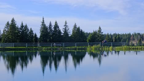 People-walking-on-waterfront-of-a-lake-with-beautiful-reflection,-serene-and-tranquil-getaway,-exploration-of-nature-and-wilderness