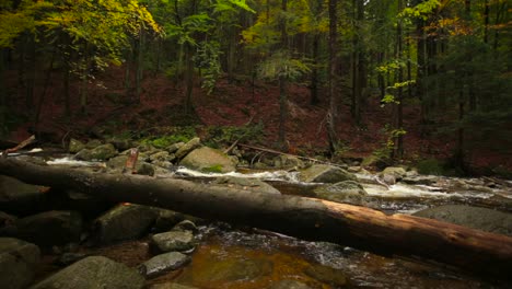 Panning-shot-of-a-river-flowing-in-the-middle-of-an-autumnal-forest