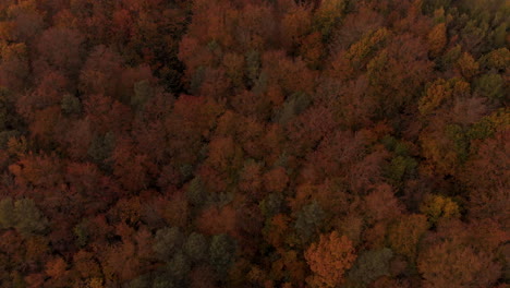 Aerial-footage-over-autumn-trees,-forest-when-leaves-change-color,-top-view-of-the-autumn-forest