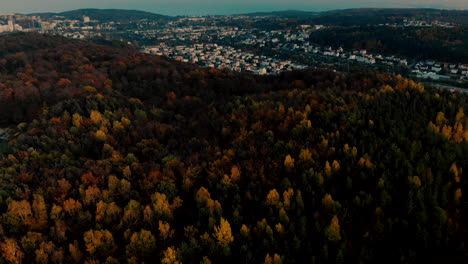 Luftaufnahmen-über-Gelben-Bäumen,-Blick-In-Die-Herbstsaison-Auf-Den-Wald