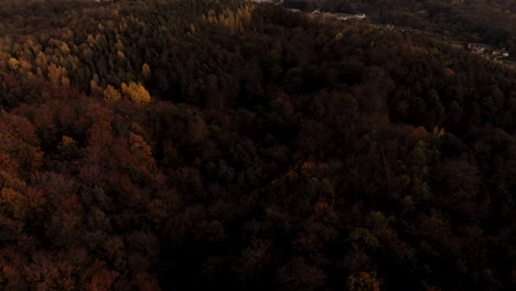 Aerial-footage-over-colorful-autumn-forest-during-sunset,-close-up-orange-and-green-trees,-orange-sky-and-glimpses-of-the-sun-on-horizon