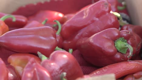 Red-organic-peppers---Organic-food