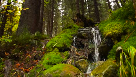 Still-shot-of-a-small-waterfall-flowing-on-rocks-covered-in-moss,-in-an-autumnal-forest