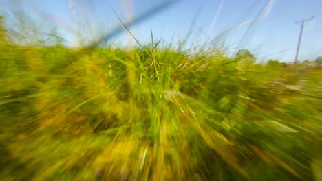 Point-of-view-of-an-animal-running-fast,-escaping,-through-grass-blades,-on-a-green-field