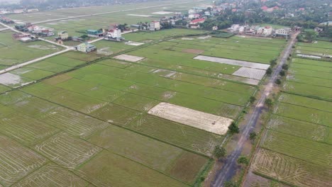 Rotierende-Drohnenaufnahme-Einer-Weiten-Reisfeldfarm-Entlang-Der-Autobahn-Aus-Dem-Ländlichen-Norden-Vietnams