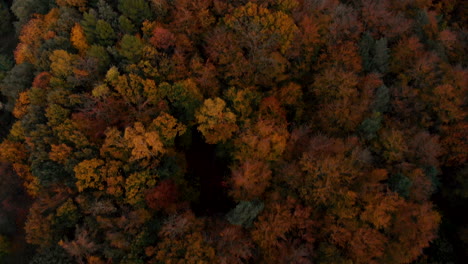 Aerial-footage-over-autumn-trees,-forest-when-leaves-change-color,-top-view-of-the-autumn-forest