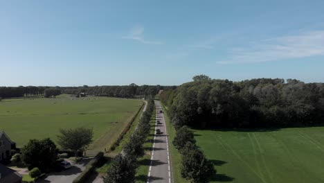 Aerial-view-of-a-clean-asphalt-country-road-in-agrarian-surrounding-in-The-Netherlands-with-a-row-of-trees-against-a-blue-sky
