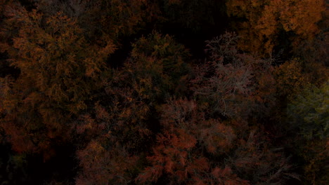Slow-aerial-footage-over-colorful-forest-during-autumn-season