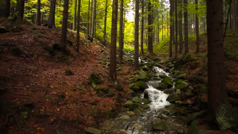 Panning-shot-of-a-stream-flowing-in-the-middle-of-an-autumnal-forest