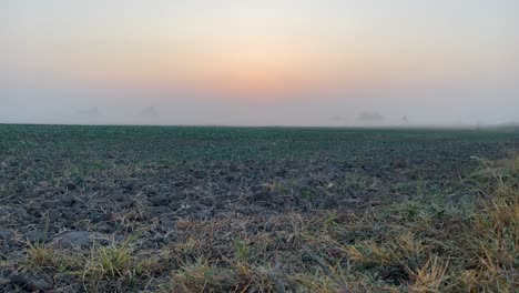 Motion-timelapse-of-morning-mist-over-open-field-at-sunrise