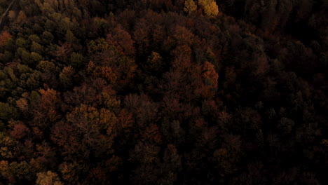 Luftaufnahmen-über-Farbenfrohen-Herbstwäldern-Bei-Sonnenuntergang,-Nahaufnahmen-Von-Orangefarbenen-Und-Grünen-Bäumen,-Orangefarbenem-Himmel-Und-Flüchtigen-Blicken-Auf-Die-Sonne-Am-Horizont