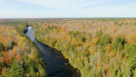 Aerial,-river-and-forest-with-fall-foliage,-pullback-reveal-of-wide-waterfall