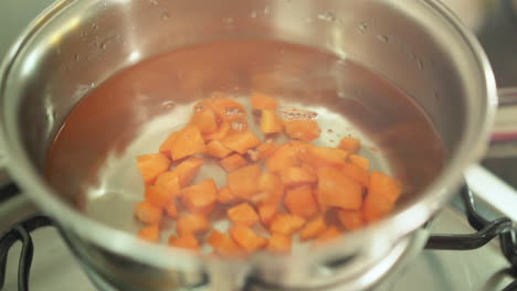 Female-hand-pooring-chopped-carrots-in-the-pan-with-water-in-slow-motion
