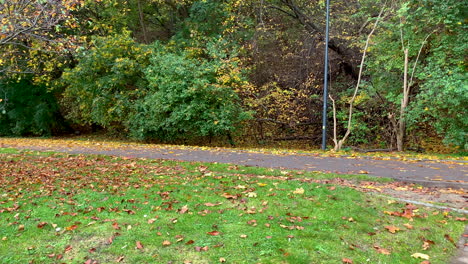 Blick-Auf-Den-Radweg-In-Der-Herbstsaison,-Die-Bäume-Haben-Bunte-Blätter,-Fallende-Blätter-Auf-Der-Straße-Und-Grünes-Gras
