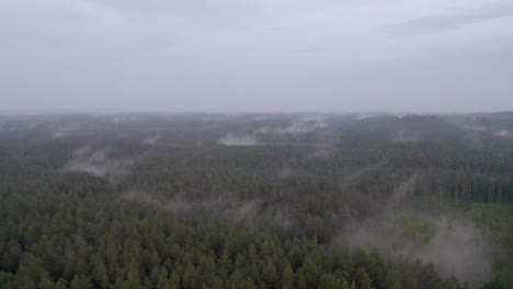 Drone-flight-over-a-foggy-forest-after-rain
