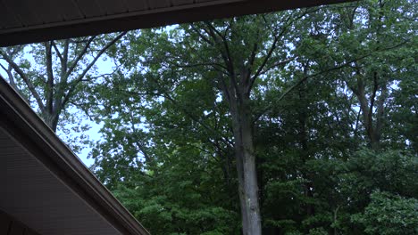 High-angle-of-a-roof-and-forest,-showing-off-the-evening-summer-rain