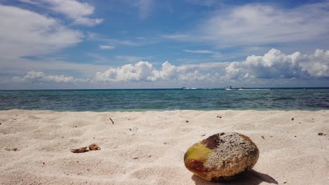 Green-coconut-with-sand-on-husk-lying-on-a-white-sand-beach-with-brilliant-blue-sky-background