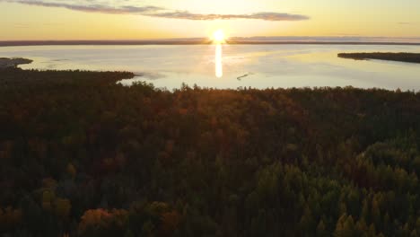 Aerial,-forest-in-autumn-with-sunset-over-lake-in-the-background
