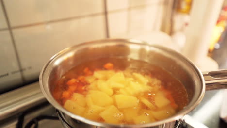 Female-hand-pouring-chopped-potatoes-in-the-pan-with-water-in-slow-motion