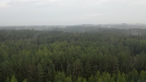 Drone-flight-over-foggy-woods
