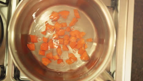 Female-hand-pooring-chopped-carrots-in-the-pan-with-water-in-slow-motion