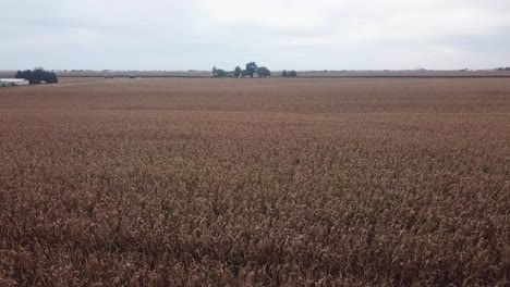 Luftdrohnenansicht-Eines-Teilweise-Abgeernteten-Maisfeldes-In-Einem-Ländlichen-Iowa
