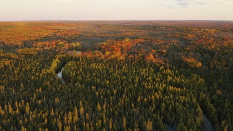 Aerial,-Kitch-iti-kipi-freshwater-spring-in-Michigan-wilderness-in-fall