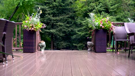 Beautiful-forest-as-seen-from-a-family-deck