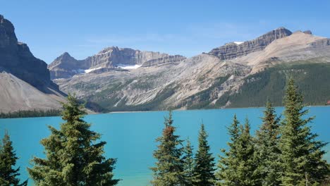 Panning-camera-summer-clear-blue-lake-view--Bow-Lake-with-beautiful-mountain-range-and-clear-blue-sky-in-summer-holiday-in-banff-national-park,Alberta,Canada