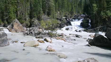 waterfall-in-yoho-valley-river-in-summer-daytime-in-Yoho-National-Park,-British-Columbia,Canada