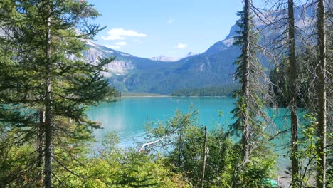 summer-clear-blue-lake-view--Emerald-Lake-through-pine-tree-forest-with-beautiful-mountain-range-with-clear-blue-sky-in-summer-holiday-in-yoho-banff-national-park,Alberta,Canada