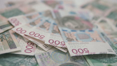 From-blurred-to-focus:-500-polish-zloty-background