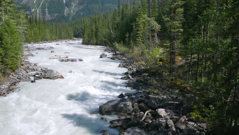 Flujo-De-Agua-En-El-Río-En-El-Valle-De-Yoho-Durante-El-Día-De-Verano-En-El-Parque-Nacional-De-Yoho,-Columbia-Británica,-Canadá-Con-Fondo-De-Vista-Montañosa-Y-Bosque-De-Pinos