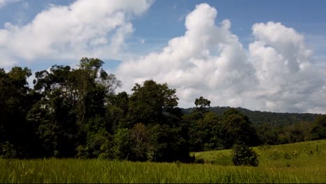 Paisaje-En-El-Parque-Nacional-De-Khao-Yai,-árboles-Y-Montañas-Con-Grandes-Nubes-Esponjosas-Que-Proyectan-Sombras