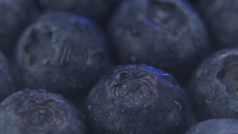 macro-close-up-view-of-blueberries-moving-up,-wet-blueberries-with-moisture-or-water-droplets
