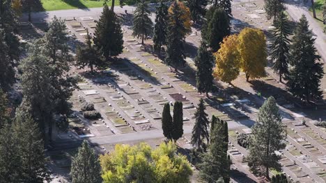 Aerial-view-as-one-lone-person-walks-through-a-small,-tidy-cemetery