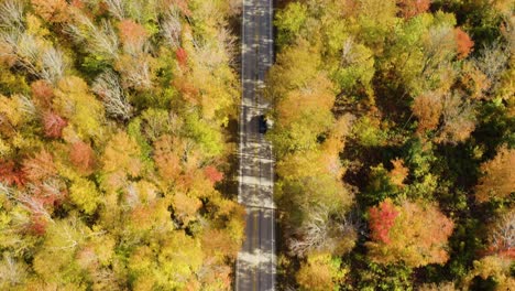Aerial-tracking-car-driving-on-remote-road-surrounded-by-autumn-foliage