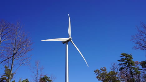 A-wind-turbine-spins-on-a-sunny,-clear-autumn-day