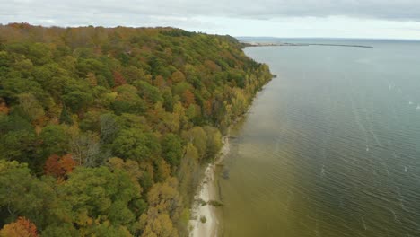 Aerial-tracking-shot-of-fall-foliage-along-waterfront