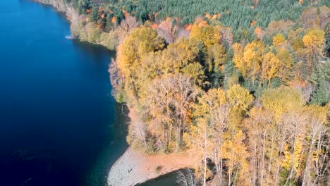 Drone-shot-of-lake-,forest-and-mountains-in-autumn-on-Vancouver-Island-,Canada